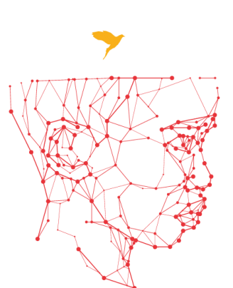 Brand Identity Design