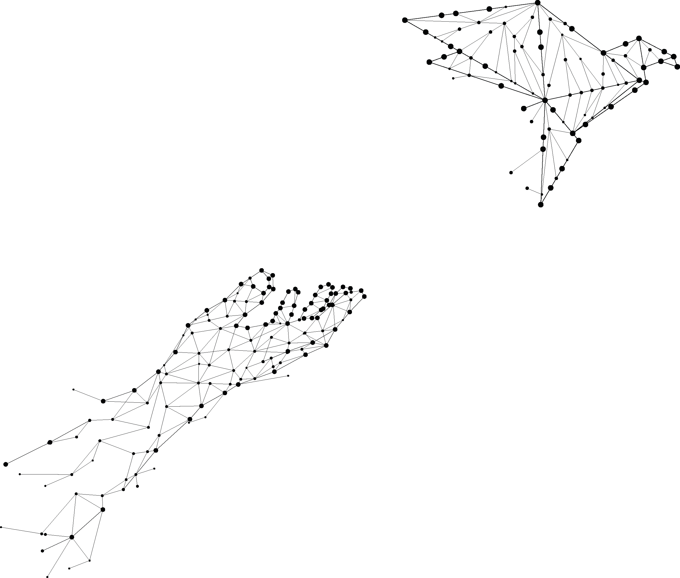 Branding Services