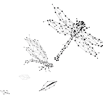 Motion Graphics